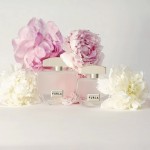 Furla Autentica EDP 100ml за жени