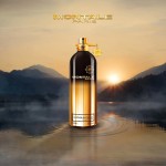 Montale Leather Patchouli EDP 100ml за жени и мъже