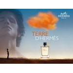 Hermes Terre D'Hermes EDT 100ml за мъже